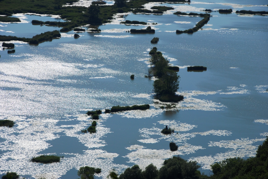 torbiere del Sebino
