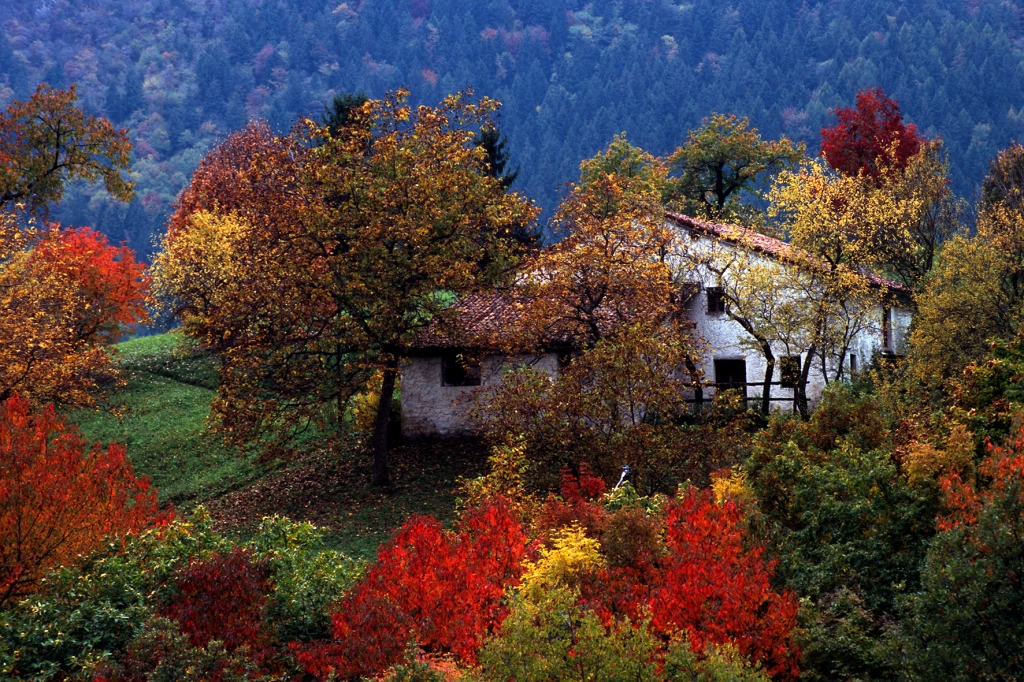 autunno a zone