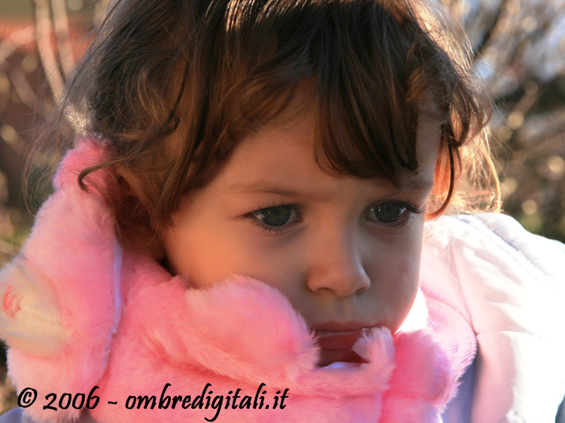 laura 2006